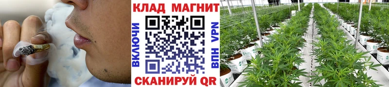 Виды наркоты Ворсма Гашиш  МЕФ 