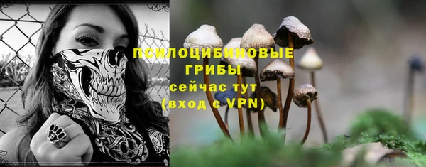 марки lsd Белокуриха