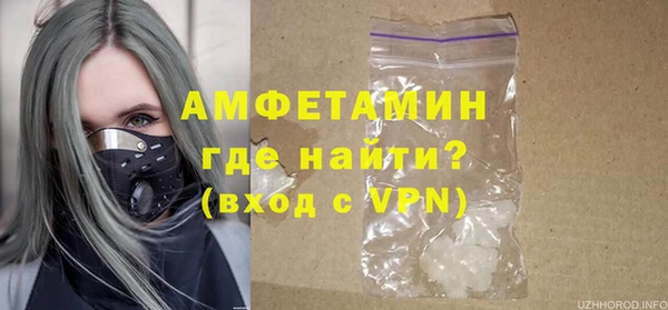 стаф Богданович