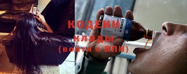 дживик Бронницы