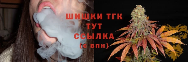 прущие грибы Богородицк