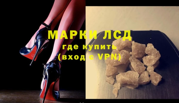 прущие грибы Богородицк