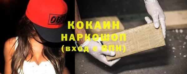 стаф Богданович