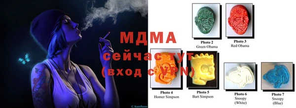 стаф Богданович