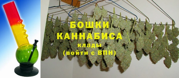стаф Богданович