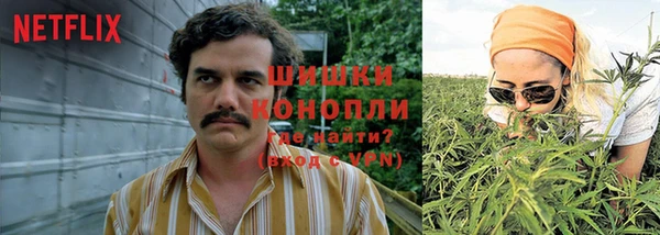 дживик Бронницы