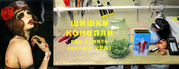 дживик Бронницы
