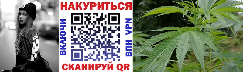 Каннабис планчик  Ворсма 